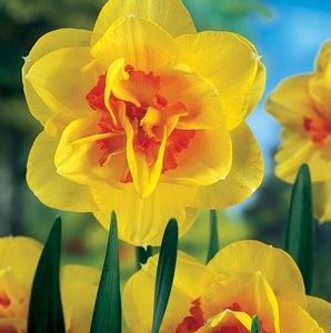 Meet your Posher, Gail